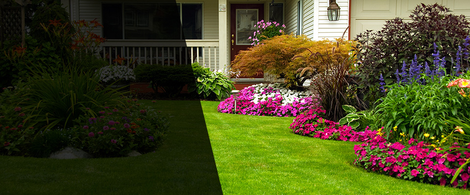 Jonesville Landscapers